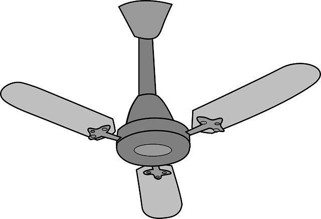 Ceiling Fan